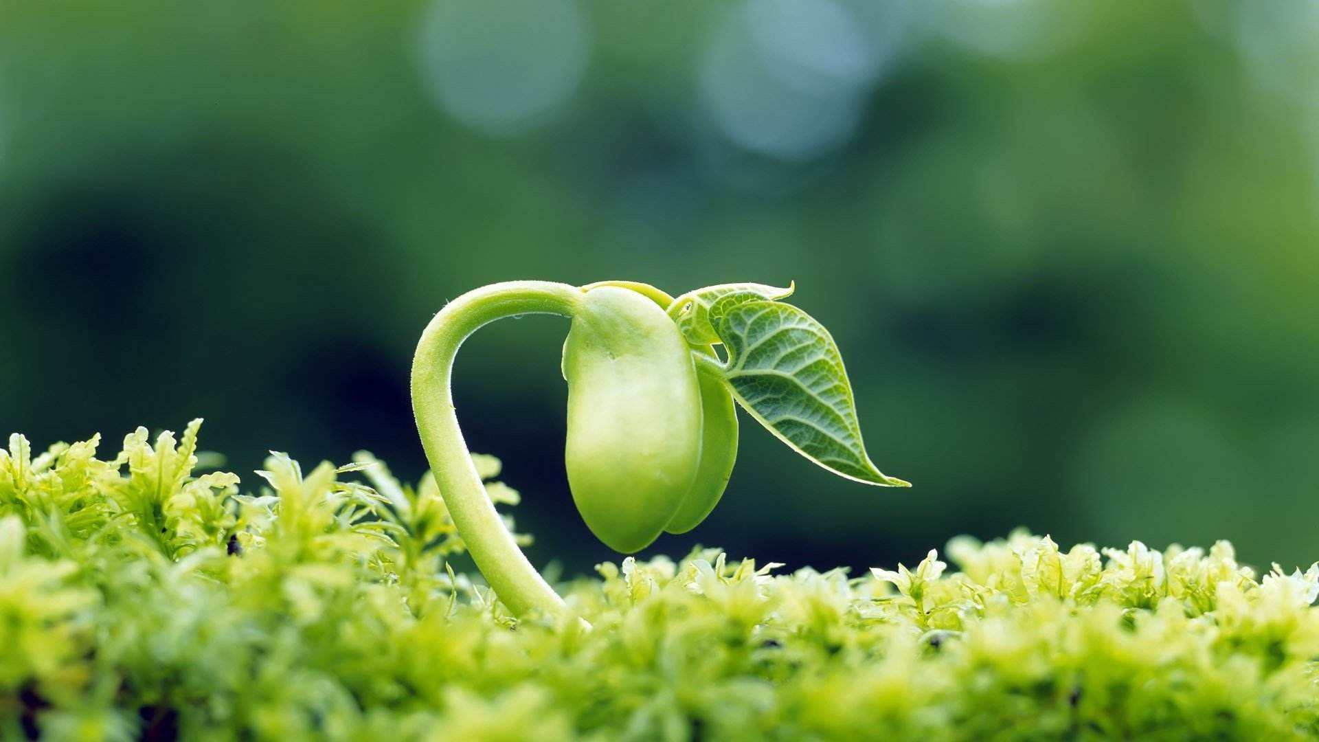 timg4G3JJRWW.jpg timg4G3JJRWW.jpg