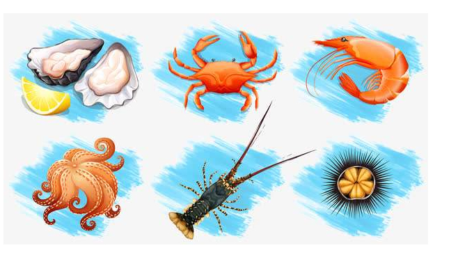 2020-06-28_150503.jpg 2020-06-28_150503.jpg