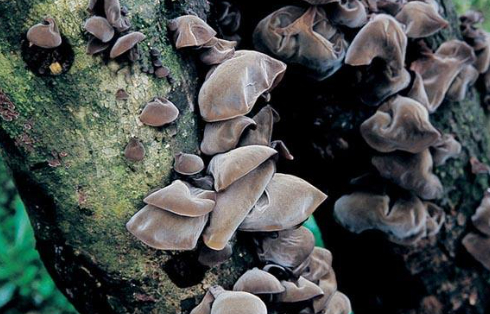 2020-07-01_145730.jpg 2020-07-01_145730.jpg