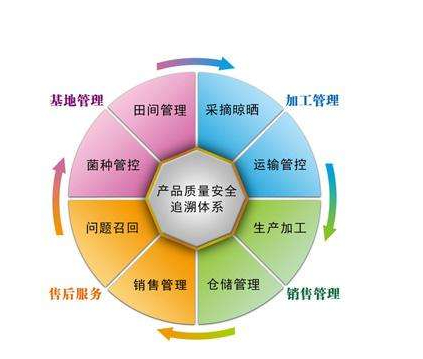 2020-07-03_134949.jpg 2020-07-03_134949.jpg