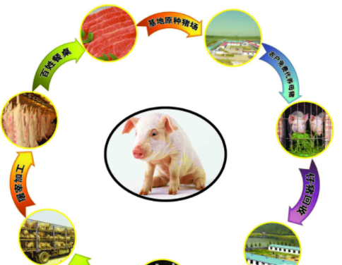 2020-07-06_163232.jpg 2020-07-06_163232.jpg