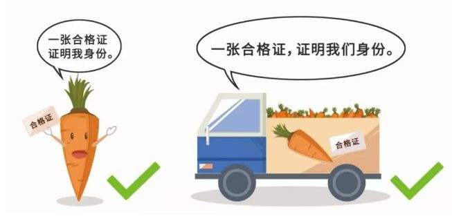 timgSJ6OOUUG.jpg timgSJ6OOUUG.jpg