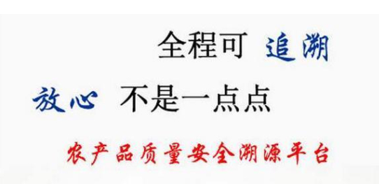 2020-08-20_113411.jpg 2020-08-20_113411.jpg