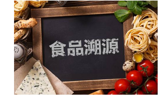 66食品.jpg 66食品.jpg